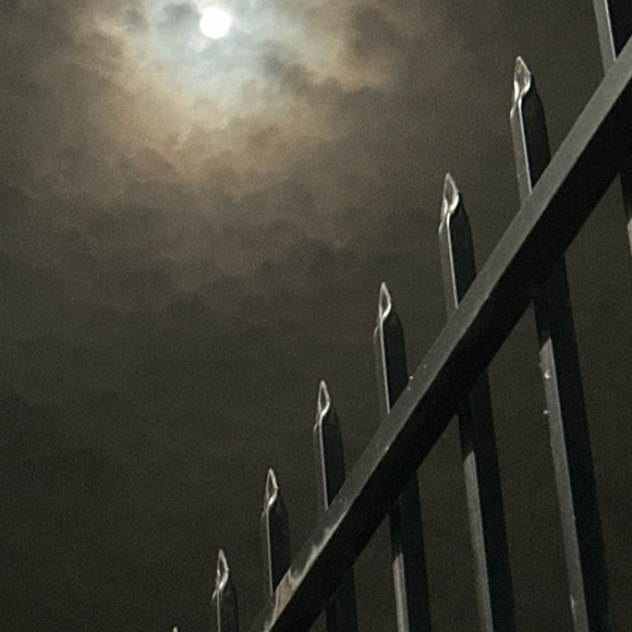 Meet your Posher, Michele - Picture 6 of 8